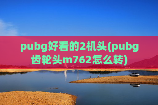 pubg好看的2机头(pubg齿轮头m762怎么转)