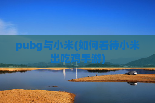 pubg与小米(如何看待小米出吃鸡手游)