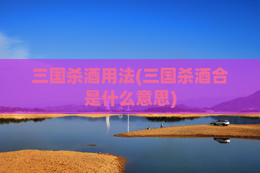 三国杀酒用法(三国杀酒合是什么意思)