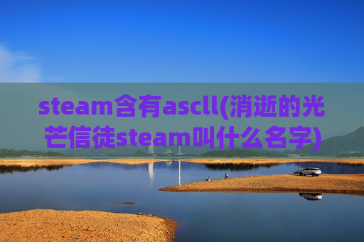 steam含有ascll(消逝的光芒信徒steam叫什么名字)