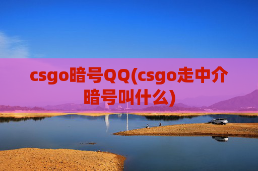 csgo暗号QQ(csgo走中介暗号叫什么)