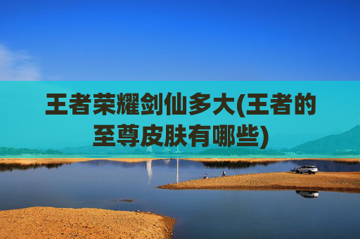 王者荣耀剑仙多大(王者的至尊皮肤有哪些)