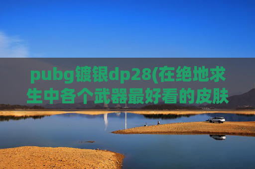 pubg镀银dp28(在绝地求生中各个武器最好看的皮肤是什么)