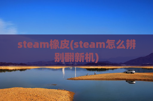 steam橡皮(steam怎么辨别翻新机)