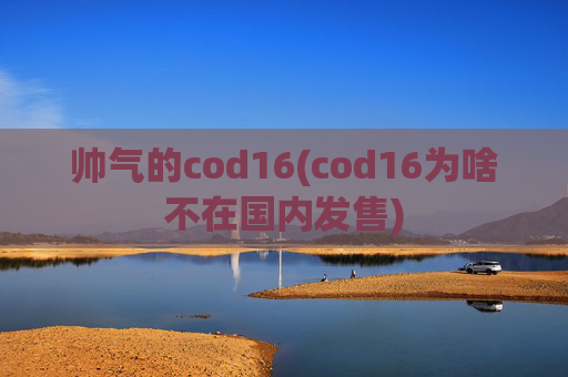 帅气的cod16(cod16为啥不在国内发售)