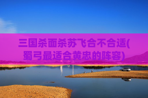 三国杀面杀苏飞合不合适(蜀弓最适合黄忠的阵容)