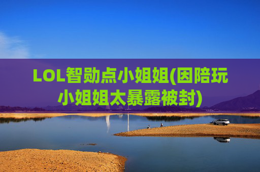 LOL智勋点小姐姐(因陪玩小姐姐太暴露被封)