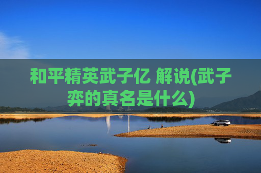 和平精英武子亿 解说(武子弈的真名是什么)