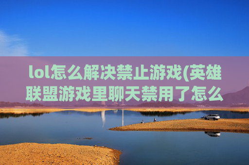 lol怎么解决禁止游戏(英雄联盟游戏里聊天禁用了怎么开)