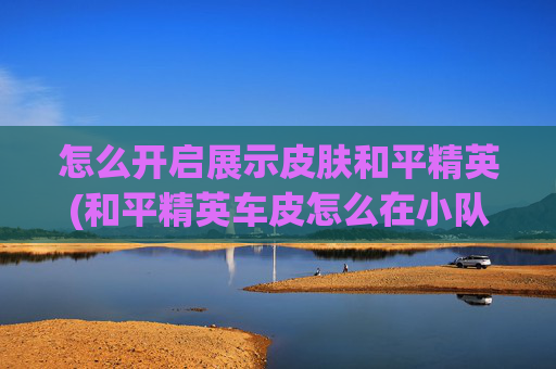 怎么开启展示皮肤和平精英(和平精英车皮怎么在小队集合展示)