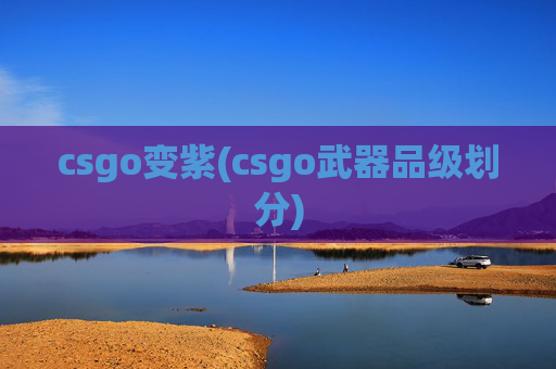 csgo变紫(csgo武器品级划分)