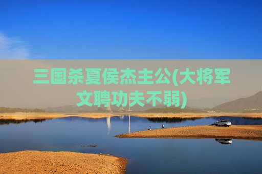 三国杀夏侯杰主公(大将军文聘功夫不弱)