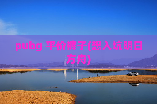 pubg 平价裤子(想入坑明日方舟)