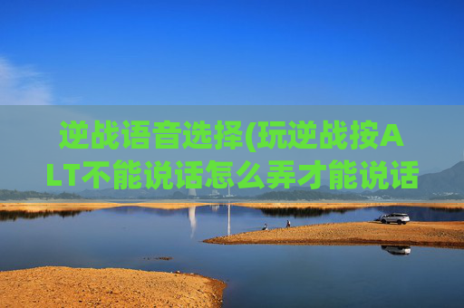 逆战语音选择(玩逆战按ALT不能说话怎么弄才能说话)