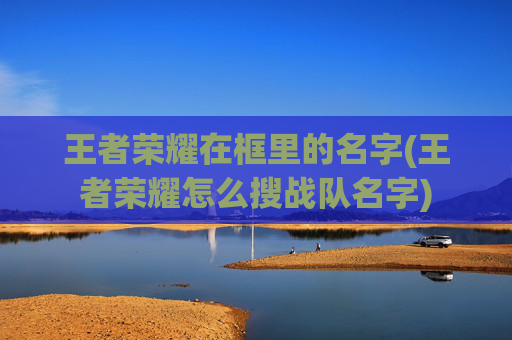 王者荣耀在框里的名字(王者荣耀怎么搜战队名字)