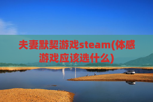 夫妻默契游戏steam(体感游戏应该选什么)