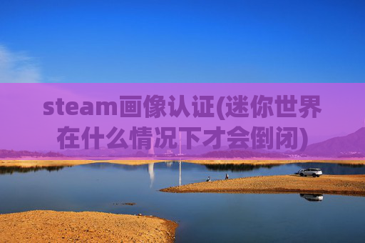 steam画像认证(迷你世界在什么情况下才会倒闭)