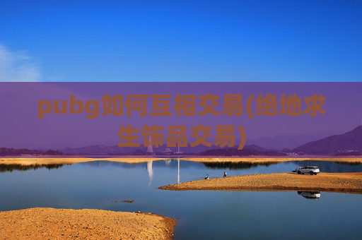 pubg如何互相交易(绝地求生饰品交易)
