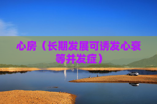 心房（长期发展可诱发心衰等并发症）