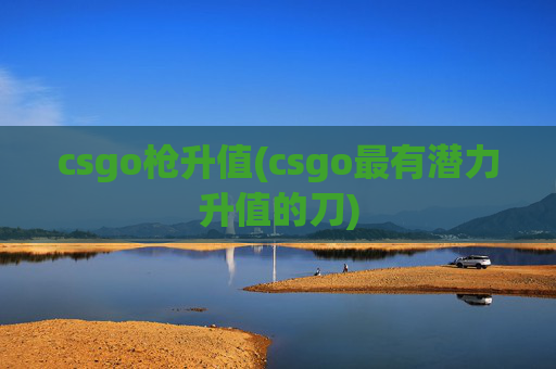 csgo枪升值(csgo最有潜力升值的刀)