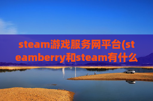 steam游戏服务网平台(steamberry和steam有什么区别)