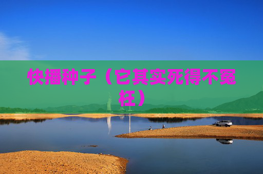 快播种子（它其实死得不冤枉）