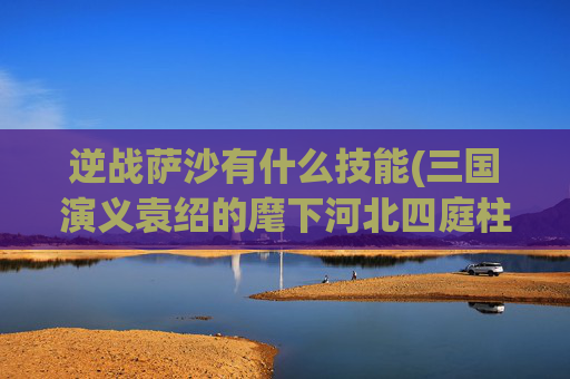 逆战萨沙有什么技能(三国演义袁绍的麾下河北四庭柱)