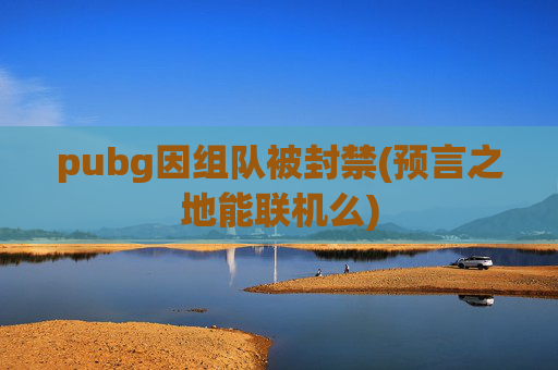 pubg因组队被封禁(预言之地能联机么)