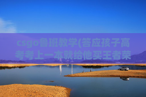 csgo鲁班教学(答应孩子高考考上一本就给他买王者荣耀的皮肤作为奖励)
