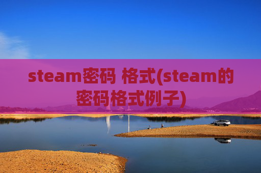steam密码 格式(steam的密码格式例子)