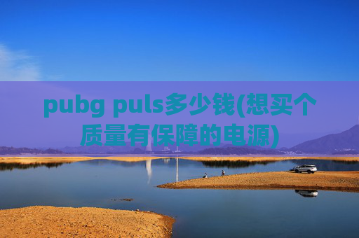 pubg puls多少钱(想买个质量有保障的电源)
