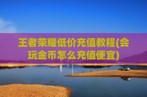 王者荣耀低价充值教程(会玩金币怎么充值便宜)