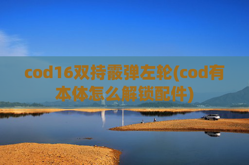 cod16双持霰弹左轮(cod有本体怎么解锁配件)