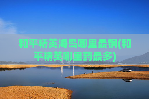 和平精英海岛哪里最钢(和平精英哪里药最多)