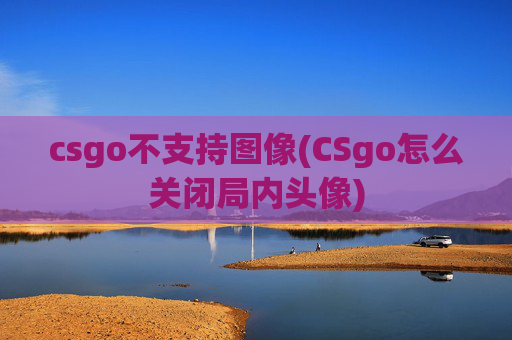 csgo不支持图像(CSgo怎么关闭局内头像)