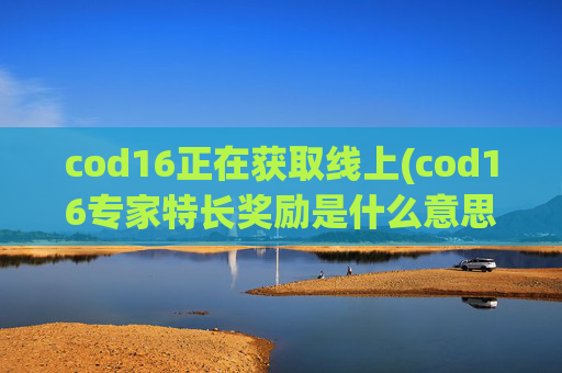cod16正在获取线上(cod16专家特长奖励是什么意思)