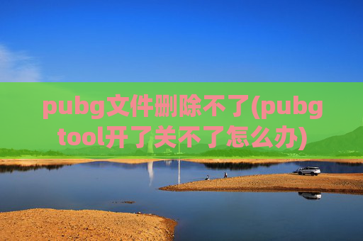 pubg文件删除不了(pubgtool开了关不了怎么办)