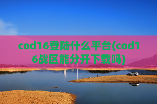 cod16登陆什么平台(cod16战区能分开下载吗)