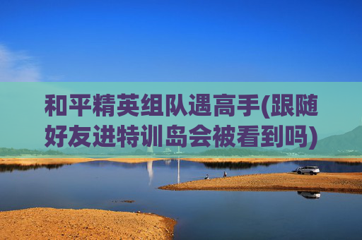 和平精英组队遇高手(跟随好友进特训岛会被看到吗)