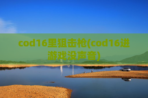 cod16里狙击枪(cod16进游戏没声音)