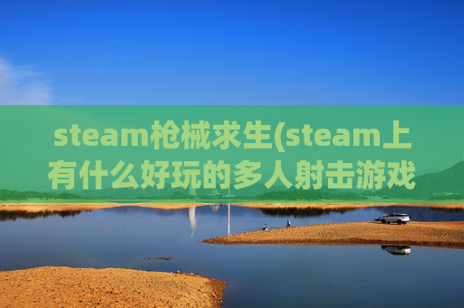 steam枪械求生(steam上有什么好玩的多人射击游戏)