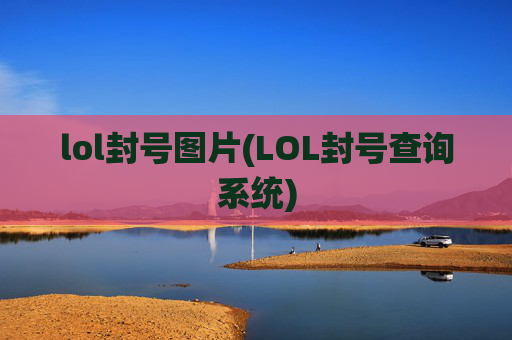 lol封号图片(LOL封号查询系统)
