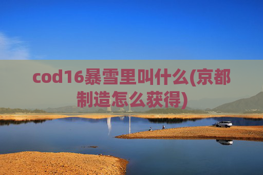 cod16暴雪里叫什么(京都制造怎么获得)