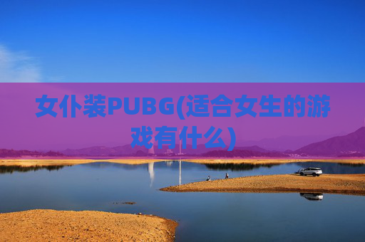 女仆装PUBG(适合女生的游戏有什么)