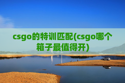csgo的特训匹配(csgo哪个箱子最值得开)