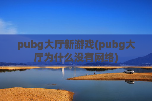 pubg大厅新游戏(pubg大厅为什么没有网络)