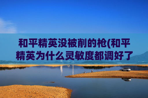 和平精英没被削的枪(和平精英为什么灵敏度都调好了还是压不住枪)
