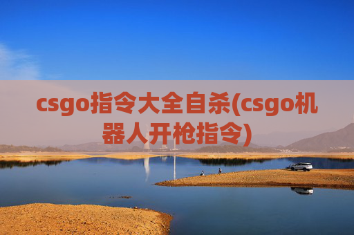 csgo指令大全自杀(csgo机器人开枪指令)