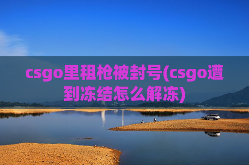 csgo里租枪被封号(csgo遭到冻结怎么解冻)