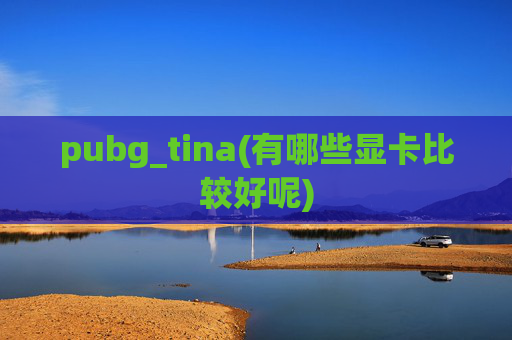 pubg_tina(有哪些显卡比较好呢)